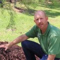 Tree Trimming and Mulching in Winchester, Virginia: What You Need to Know