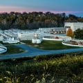 Tree Trimming in Winchester, Virginia: Environmental Considerations for a Healthy and Attractive Tree Canopy