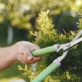 Tree Trimming Techniques in Winchester, Virginia - Expert Services from Shenandoah Tree Service and Old Town Tree & Landscaping LLC