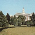Tree Pruning and Removal Services in Winchester, Virginia