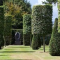 Fall Pruning: Is it Safe to Trim Trees and Bushes in the Autumn?