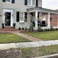 Do My Trees Need Trimming in Winchester, Virginia?