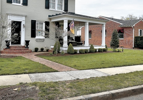 The Ultimate Guide to Pruning Trees in Winchester, Virginia