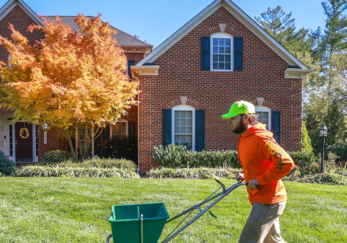 Ensuring Proper Tree Trimming in Winchester, Virginia
