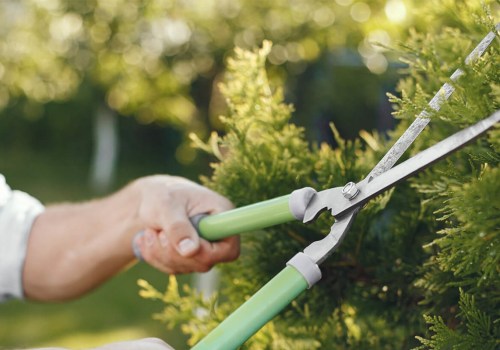 Tree Trimming Techniques in Winchester, Virginia - Expert Services from Shenandoah Tree Service and Old Town Tree & Landscaping LLC
