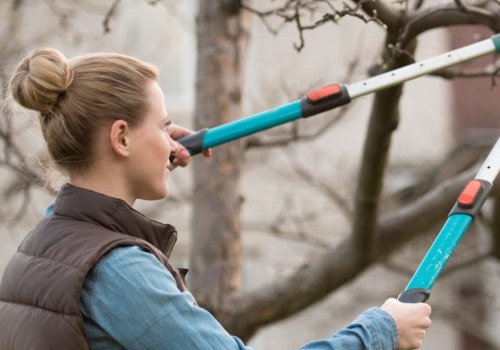 The Right Way to Prune Trees for Maximum Health and Beauty