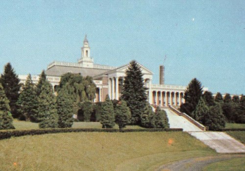 Tree Pruning and Removal Services in Winchester, Virginia