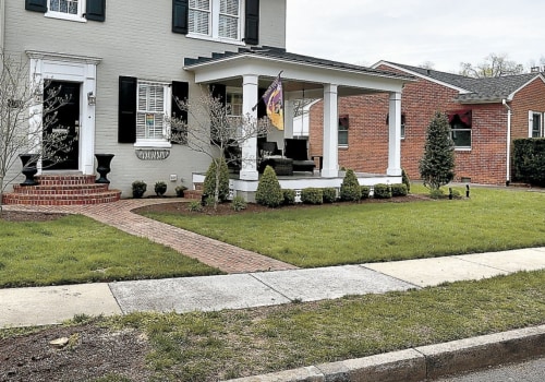 Do My Trees Need Trimming in Winchester, Virginia?